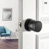 T1X-smart lock